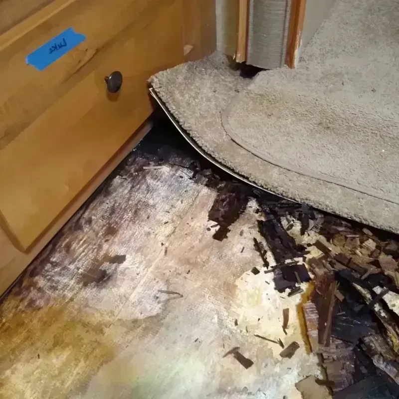 Wood Floor Water Damage in Pitt County, NC